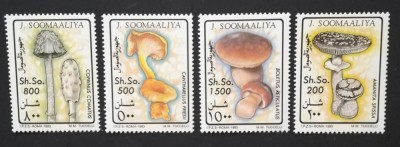 SOMALIA-1993-CIUPERCI-Serie 4 V.MNH**SOM 107 foto