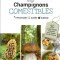 Champignons comestibles - Nat Sinob