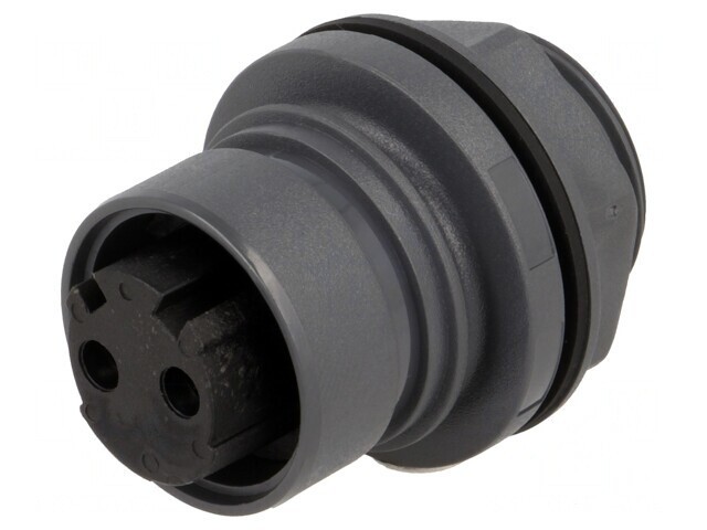 Conector circular soclu mamă 2 pini nichelat Buccaneer 6000