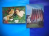 HOPCT LOT NR 969 STEREO 3 D -2 CARTI POSTALE-NECIRCULATE, Circulata, Printata