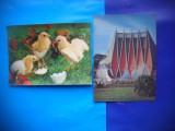 HOPCT LOT NR 969 STEREO 3 D -2 CARTI POSTALE-NECIRCULATE, Circulata, Printata