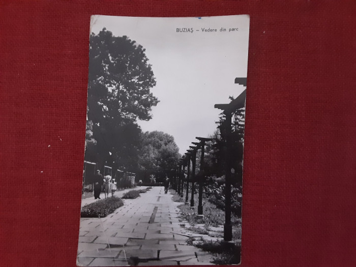 Buzias - Vedere din parc - carte postala circulata 1962