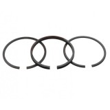 Cumpara ieftin Set Segmenti Piston Briggs- Stratton 65,09mm (2X2X4,75 mm) Caber, Italia