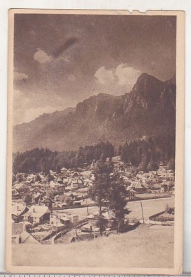 bnk cp Busteni - Vedere generala - circulata 1959 - Libraria noastra foto