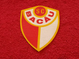 Ecuson fotbal - SC BACAU