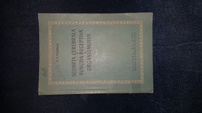 A T PSONIC - SCOARTA CEREBRALA SI FUNCTIA RECEPTIVA A ORGANISMULUI 1954