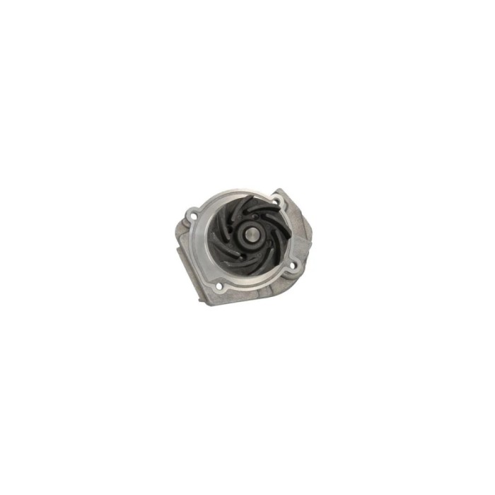 Pompa apa FIAT DOBLO microbus 223 119 AIRTEX 1616