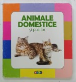 ANIMALE DOMESTICE SI PUII LOR, 2017