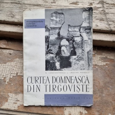 N. Constantinescu - Curtea Domneasca din Targoviste foto