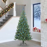 vidaXL Brad de Crăciun cu 300 LED cu suport Verde 240 cm PVC 3396405