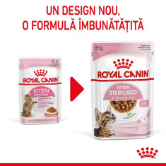 Royal Canin Kitten Sterilised hrană umedă pisică sterilizată junior (în sos), 12 x 85g