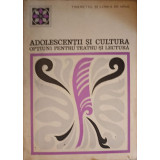 ADOLESCENTII SI CULTURA. OPTIUNI PENTRU TEATRU SI LECTURA-C. SCHIFIRNET, D. BAZAC-224628