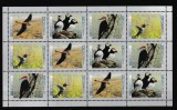 Canada - PASARI - MNH
