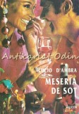 Meseria de Sot - Lucio D&#039;Ambra, Roman, Editura Helicon, 1992, 267 pagini