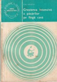 Ion Vancea - Cresterea intensiva a pasarilor pe langa casa