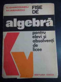 Fise De Algebra Pentru Elevi Si Absolventi De Licee - N. Ghircoiasiu, M. Iasinschi ,544262, Dacia