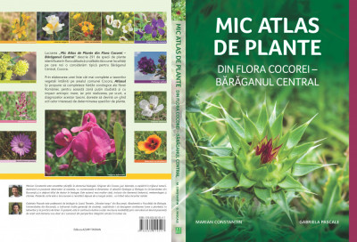 Mic atlas de plante din flora Cocorei - Bărăganul central foto