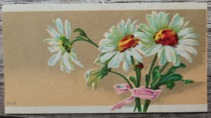 Felicitare interbelica