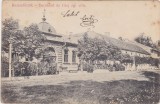 CP BUZIAS BUZIASFURDO Bernhard es Csaj agi villa ND(1910)