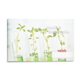 Cumpara ieftin Caiet biologie Herlitz, 24 file, Rock Your