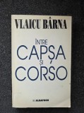 INTRE CAPSA SI CORSO - Vlaicu Barna