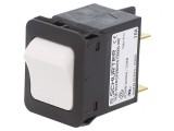&Icirc;ntrerupător de Supracurent 10A DPST 240VAC 60VDC