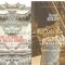 De La Isarlik La Valea Uimirii - Basarab Nicolescu