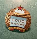 Insigna RPR aviatie utilitara 6000 ore de zbor