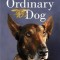 No Ordinary Dog: My Partner from the Seal Teams to the Bin Laden Raid