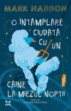 O intamplare ciudata cu un caine la miezul noptii - Mark Haddon
