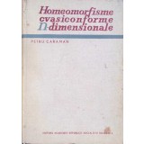 HOMEOMORFISME CVASICONFORME N-DIMENSIONALE-PETRU CARAMAN-282382