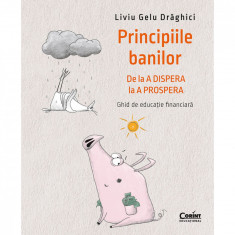 Principiile Banilor. De La A Dispera La A Prospera , Ghid De Educatie Financiara, Liviu Draghici - Editura Corint