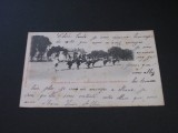Școala de Cavalerie Saumur &bdquo;Săritori liberi&rdquo;-Carte Poștală Vintage Franța (posibil perioada 1900-1940)