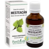 Extract din Seminte de Mesteacan 50ml