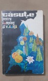 Căsuțe pentru camping și vacanță - M. Paladian