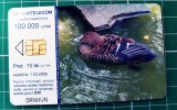 Cartelă telefonică Romtelecom Păsări acvatice Femelă Rață Eider10 lei 100.000 unități OANHVN exp. 01.03.2009 Rață sălbatică mare Mascul