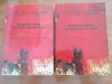 G. Insolera / N. Mazzacuva (a cura di), Introduzione al sistema penale (Introducere &icirc;n sistemul penal), 2 volume (&icirc;n limba italiană) (drept penal)