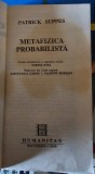 Metafizica probabilista
