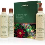 Aveda Holiday Invigorating Awe Rosemary Mint Hair &amp; Body Essentials set cadou de Crăciun pentru păr