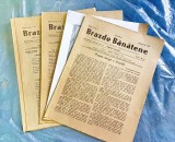 E445B-6 REVISTE vechi BRAZDE BANATENE 1939-Director CAIUS PASCU. TIMISOARA TIPOGRAFIA EMINESCU. PRET PE BUCATA.
