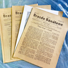 E445B-REVISTA veche BRAZDE BANATENE 1939. PRET PE BUCATA Director CAIUS PASCU.