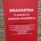 DRAGOSTEA IN POEZIA LUI ADRIAN PAUNESCU de ANDREI PAUNESCU , 2019