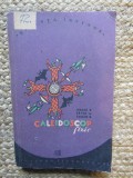 Caleidoscop Fizic - Lukacs E. Peter, Editura Tineretului 1957, Fizica