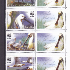 PASARI PROTEJATE,LOPATARUL,SERIE CU VINIETA,2006,Lp.1744a,MNH ** ROMANIA