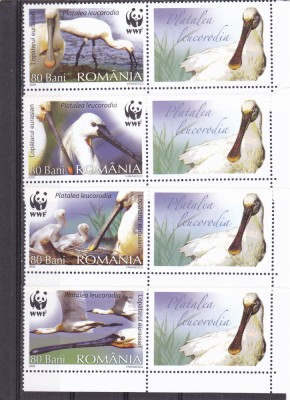 PASARI PROTEJATE,LOPATARUL,SERIE CU VINIETA,2006,Lp.1744a,MNH ** ROMANIA foto