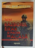 INTRE RAZBOIUL DIN IRAK SI PACEA DE ACASA de IONEL MIHAIL CETATEANU, 2014, DEDICATIE *