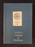 Cantecul zorilor si bradului. Tipologie muzicala &ndash; Mariana Kahane