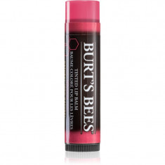 Burt’s Bees Tinted Lip Balm balsam de buze culoare Hibiscus 4.25 g