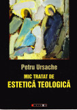 AMS - PETRU URSACHE - MIC TRATAT DE ESTETICA TEOLOGICA (CU AUTOGR. PTR.STEICIUC)