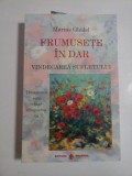 Cumpara ieftin FRUMUSETE IN DAR * VINDECAREA SUFLETULUI - Marius GHIDEL